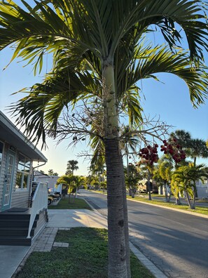 Unclassified image, 4 of 38, button - Cozy cottage near Ft Myers beach, Sanibel Captiva Pet Friendly!!! (Fort Myers)