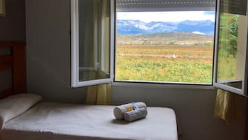 标准双床房, 山景