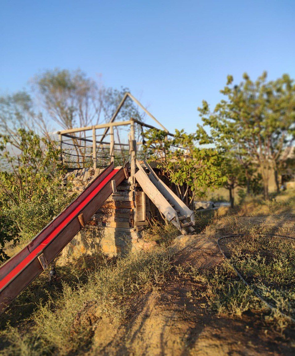 Un escalier en bois rustique mène à une structure également en bois, qui est entourée d’herbes sèches et d’arbres.