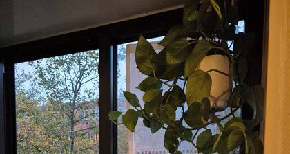 Cosy Artsy Amsterdam Studio, new residential hood
