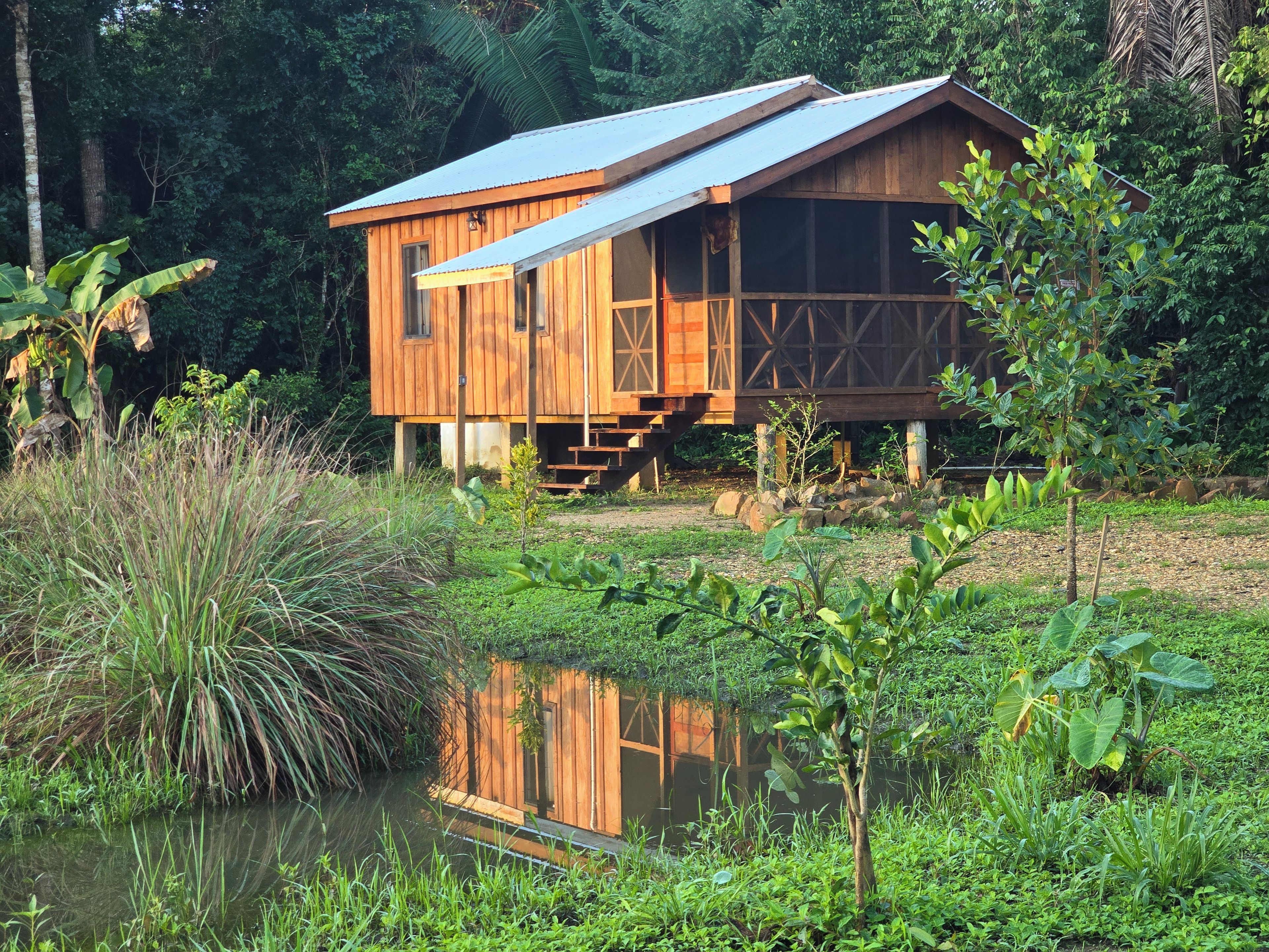 Une cabane en bois, surmontée d’un toit en métal, située au bord d’un étang, lui-même entouré d’une végétation luxuriante.