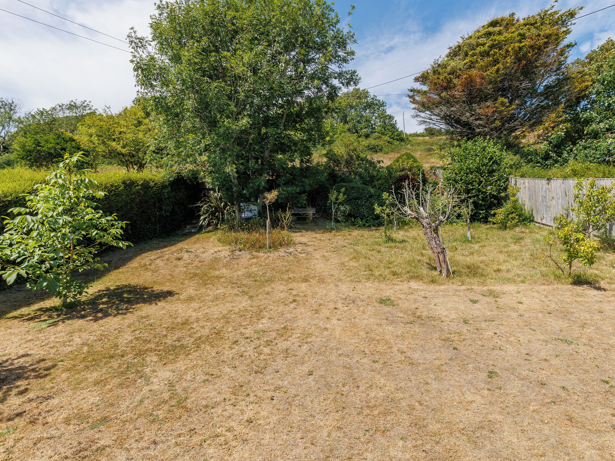 Un jardin avec une pelouse, une clôture en bois et divers arbres.