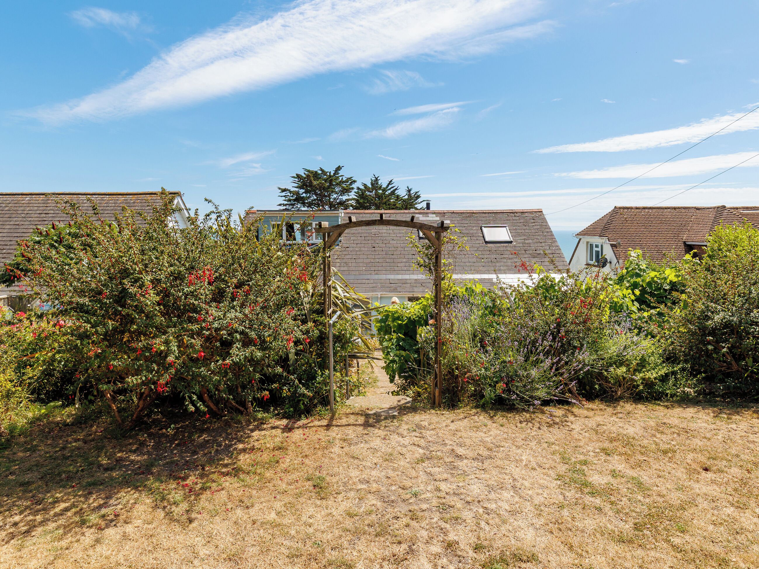 A garden with a wooden pergola, surrounded by various plants and shrubs.