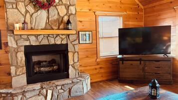 Smart TV, fireplace, DVD player, books