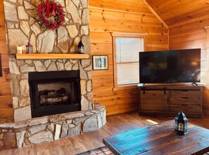 Smart TV, fireplace, DVD player, books