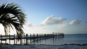 A beach with a wooden pier extending into calm waters, a palm tree, and lounge chairs on the sand. - 2 BD/2BA VILLA WITH BOAT SLIP IN ISLAMORADA,FL (Islamorada)