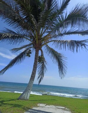 Vue depuis l’hébergement