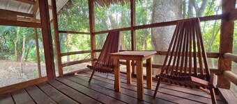 Cotton Tree Cabin in Hopkins