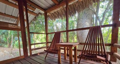 Cotton Tree Cabin in Hopkins