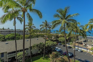 Enjoy ocean views from this coastal property, surrounded by palm trees and a parking area.