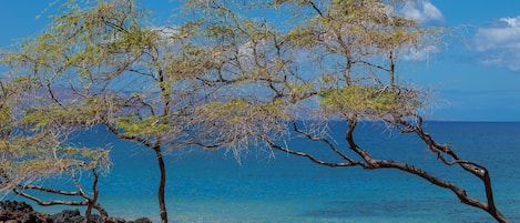 In Strandnähe, Liegestühle, Strandtücher