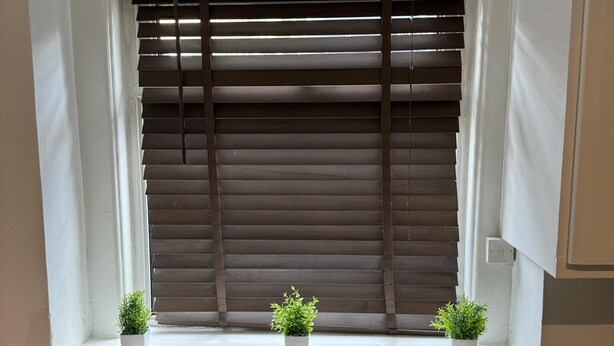 Une petite fenêtre avec des stores marron, deux plantes en pot de chaque côté et un mur blanc.