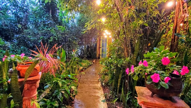 A garden pathway with a concrete path, surrounded by lush greenery and flowering plants. - Villa Morena Benessere (Florianópolis)