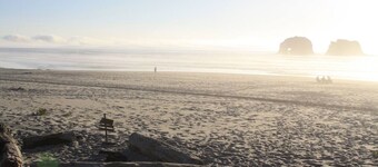 Dog-Friendly Oceanview Getaway Condo #9