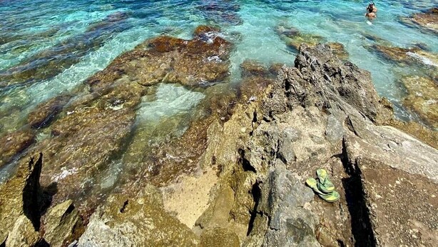 A rocky shoreline with clear blue water and a person swimming in the distance. - Villa Pino 150 meters from the sea and 5 min from Palermo airport area (Carini)