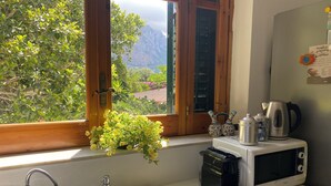 Une cuisine avec une fenêtre donnant sur un paysage verdoyant et des montagnes, un évier, un four à micro-ondes et une bouilloire posés sur le plan de travail.