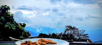 Hidden Monkey Stays Darjeeling, Railway Station