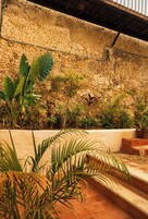 Un muro de piedra con plantas, suelo de baldosas y escalones que conducen a una zona cubierta.