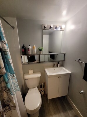 Hair dryer, towels, soap, toilet paper - Skyline-Nest Near Prince Isl w/BathTub +W/D (Calgary)