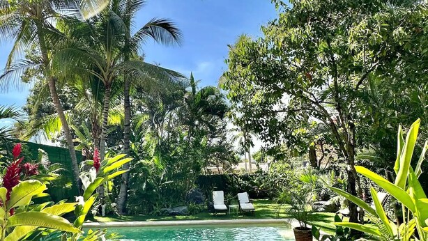 A pool area with a sign detailing pool rules, surrounded by lush greenery and palm trees.
