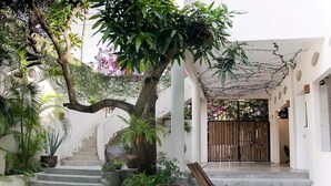 A courtyard with a staircase, a wooden chair, and various potted plants.