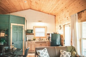 Smart TV, chimenea, reproductor de DVD, libros