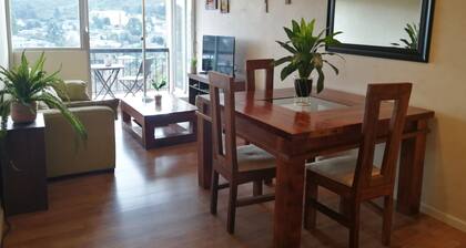 Beautiful apartment with ocean and volcano view -Balneario Pelluco