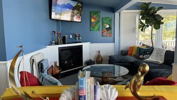 Smart TV, fireplace, books