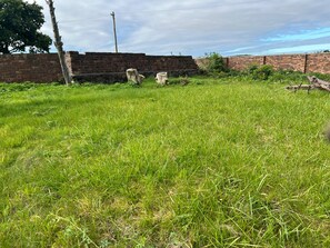 Surrounded by a serene grassy field, this tranquil space features a rustic brick wall and two wooden posts.