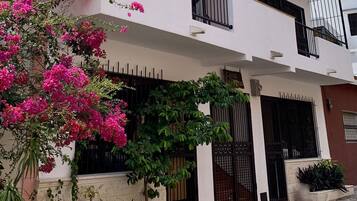 Detalle exterior