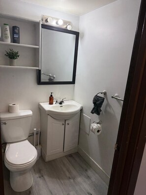 Secador de cabelo, toalhas de banho, sabonete, papel higiênico