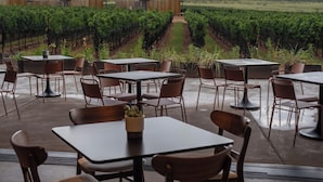 Un espace extérieur aménagé avec des tables et des chaises, offrant une vue sur un vignoble.