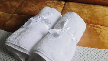 Douche, serviettes fournies, savon, papier toilette