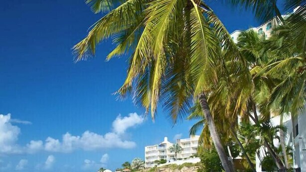 A beach with a stone pathway, palm trees, and a clear blue sea. - Beachfront Breeze Condo (Philipsburg)