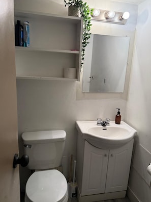Hair dryer, towels, soap, toilet paper