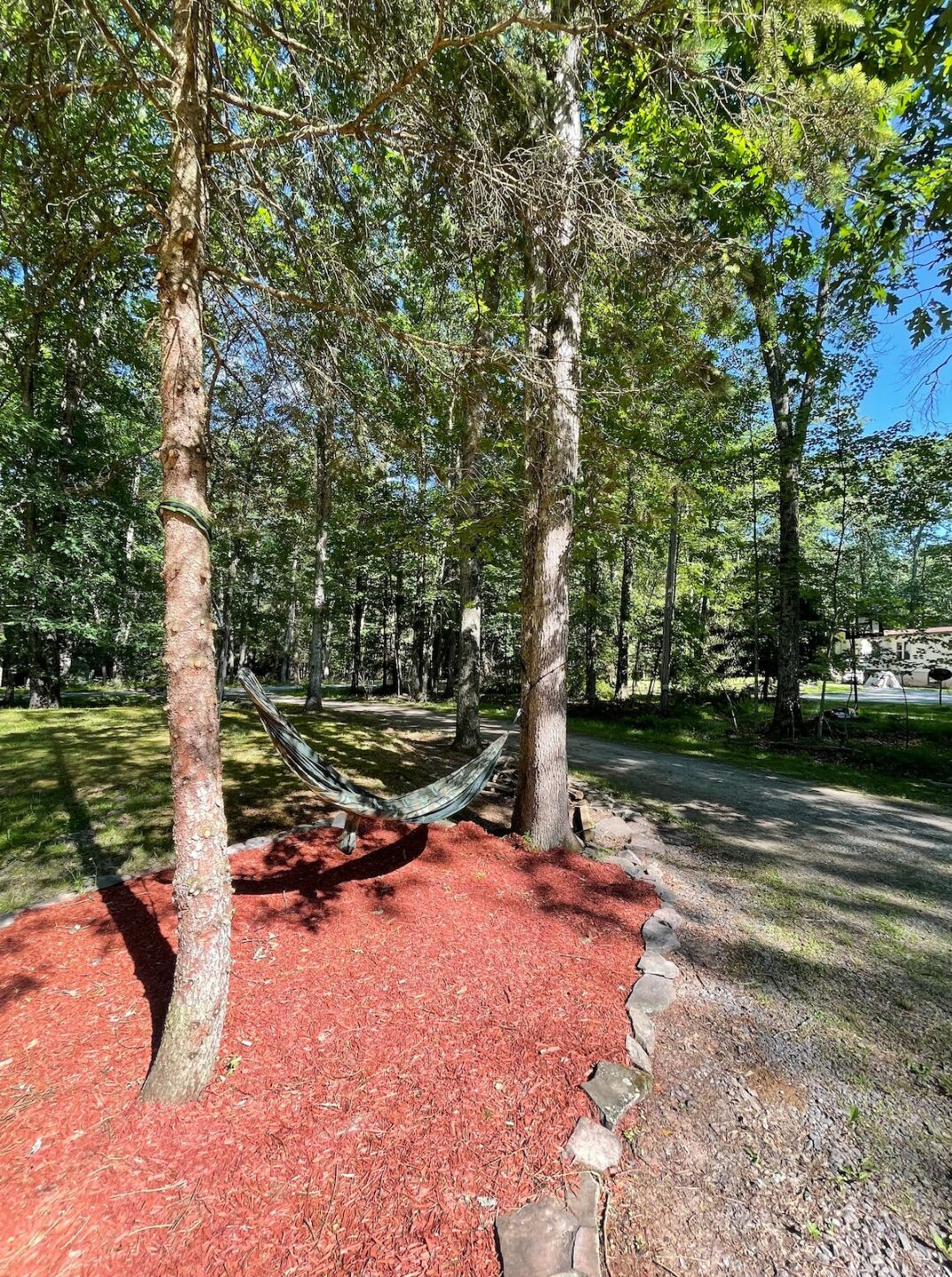 A hammock between two trees in a park with a red mulch ground.