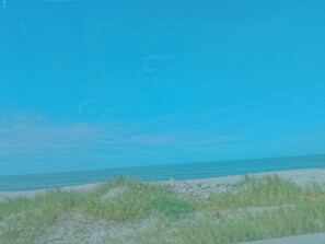 外觀