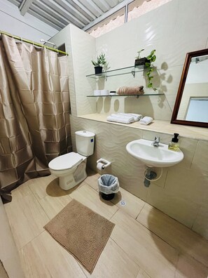 Hair dryer, towels, soap, toilet paper