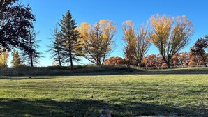 A grassy field with trees in the background and a wooden structure in the foreground.