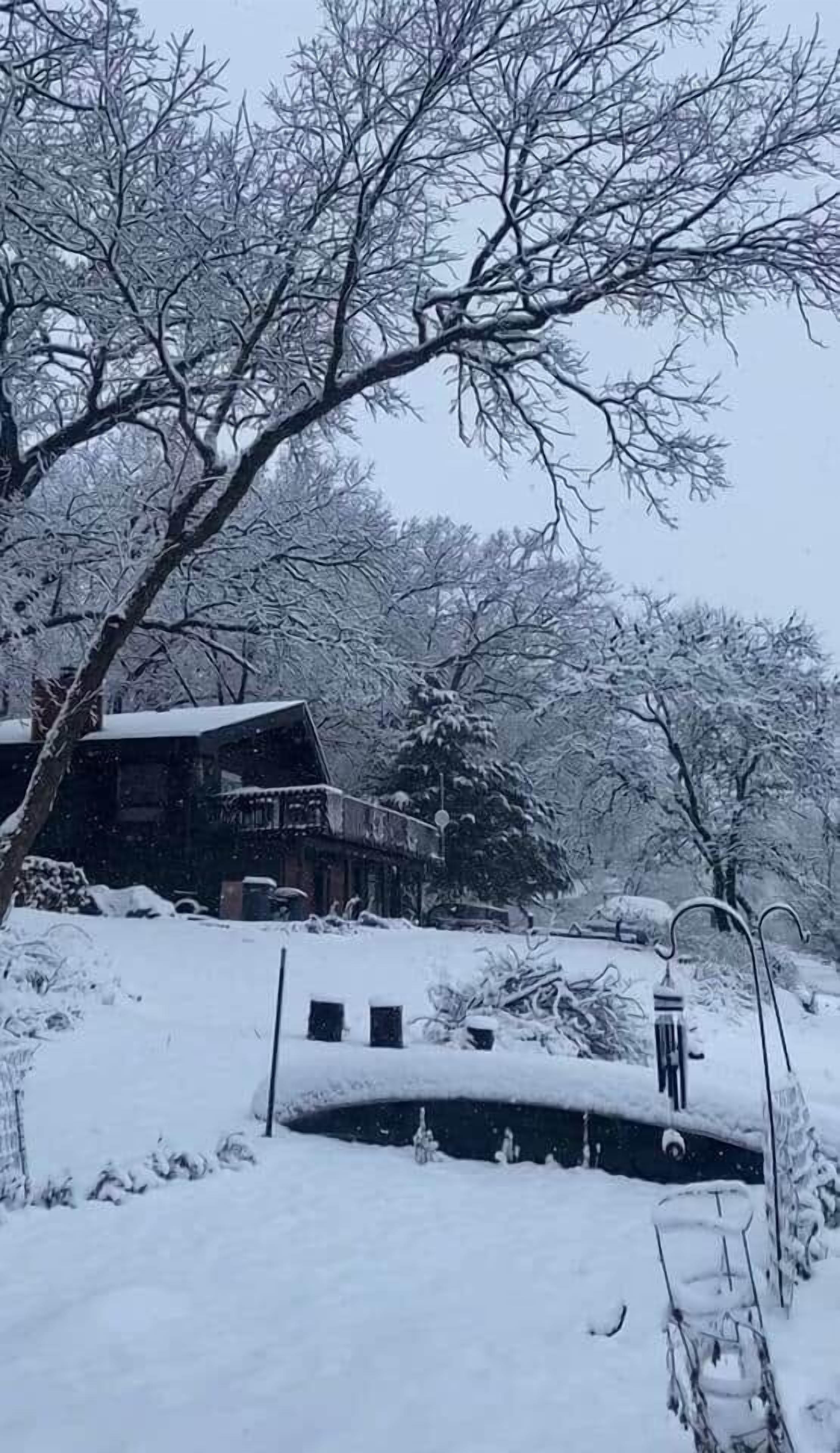 Àrea exterior de l'allotjament