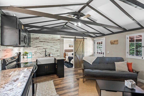 Smart TV, fireplace, books