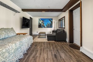 Smart TV, fireplace, books
