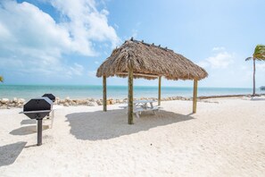 Unclassified image, 3 of 33, button