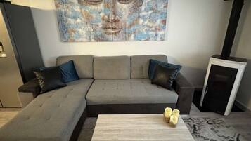 TV connectée, cheminée, livres