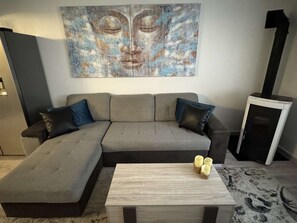 Smart TV, fireplace, books