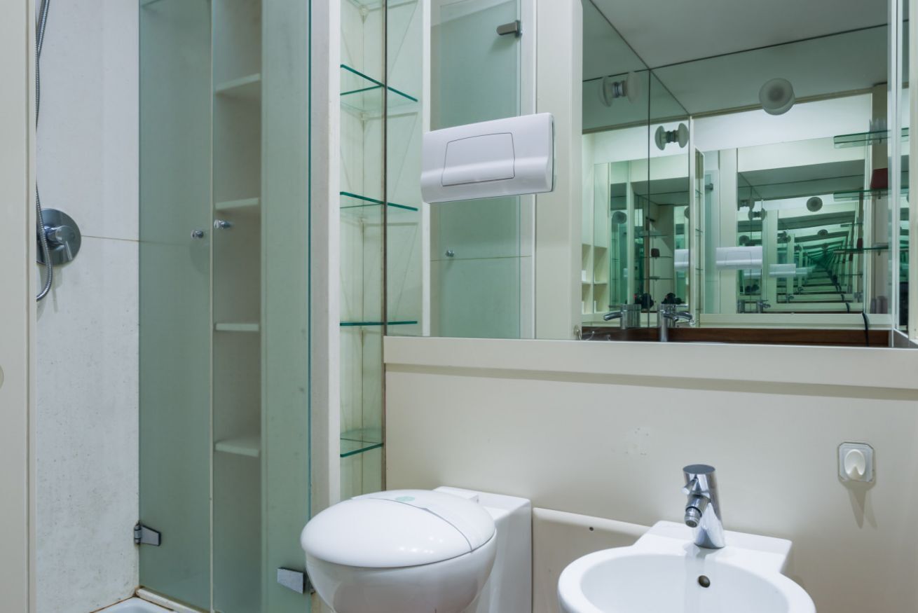 Shower, hair dryer, bidet