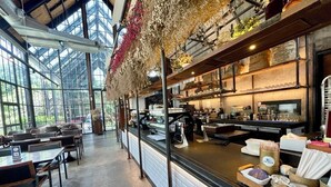 A cafe with a long counter, seating area, and large windows.