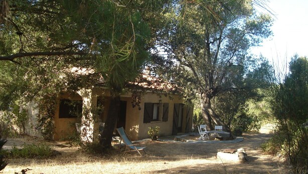 Une maison de campagne rustique avec une cour en terre battue, une terrasse en bois et un grand arbre qui offre de l’ombre.