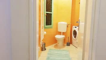 Apartment (One Bedroom Apartment) | Bathroom | Shower, towels