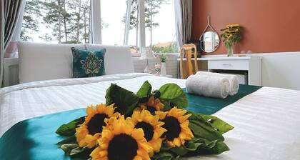 Hai Long Vuong Hotel
